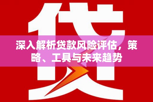 盐源深入解析贷款风险评估，策略、工具与未来趋势