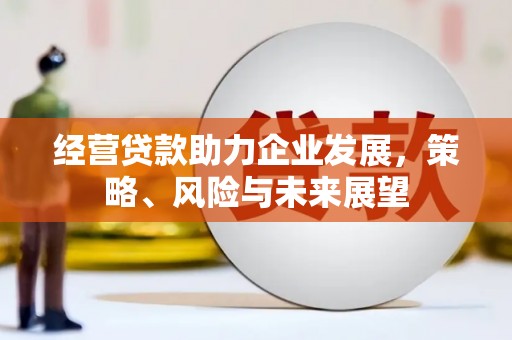 盐源经营贷款助力企业发展，策略、风险与未来展望