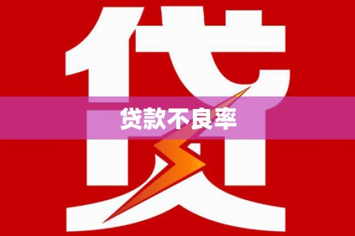 盐源贷款不良率