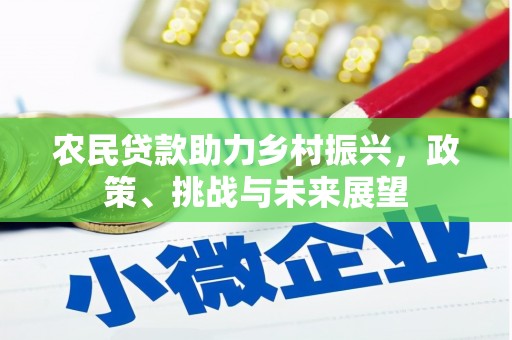 盐源农民贷款助力乡村振兴，政策、挑战与未来展望