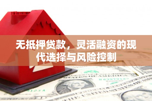 盐源无抵押贷款，灵活融资的现代选择与风险控制