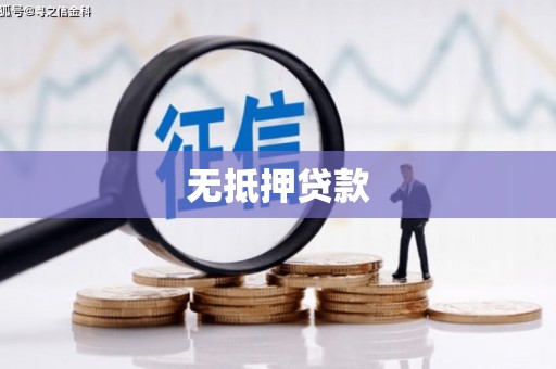 盐源无抵押贷款