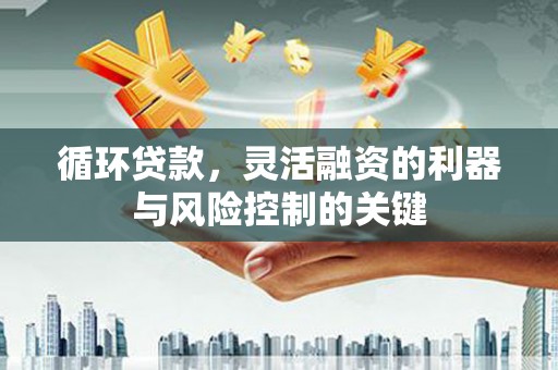 盐源循环贷款，灵活融资的利器与风险控制的关键