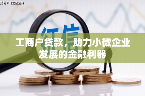 盐源工商户贷款，助力小微企业发展的金融利器