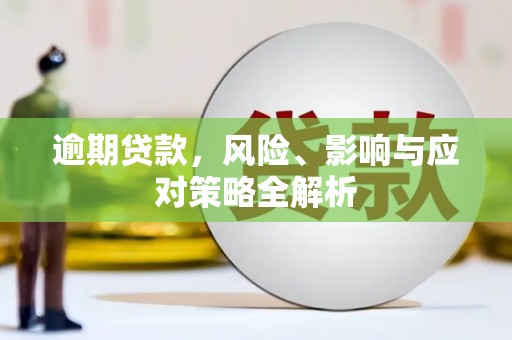盐源逾期贷款，风险、影响与应对策略全解析