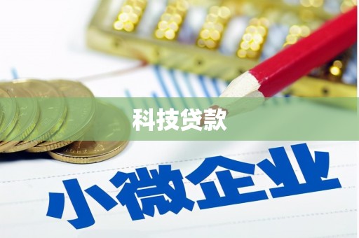 盐源科技贷款
