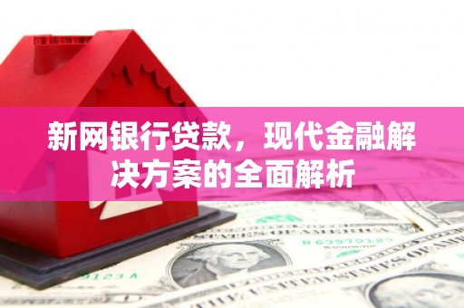 盐源新网银行贷款，现代金融解决方案的全面解析
