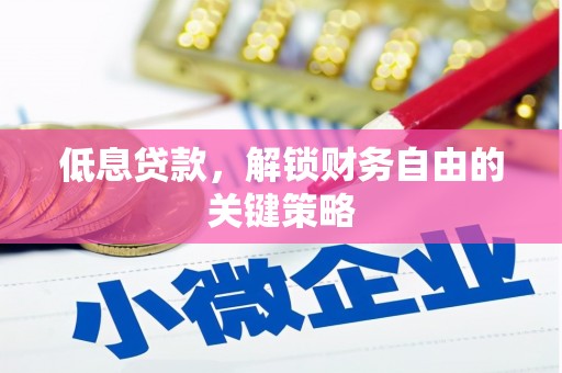 盐源低息贷款，解锁财务自由的关键策略