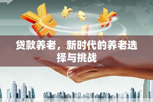 盐源贷款养老，新时代的养老选择与挑战