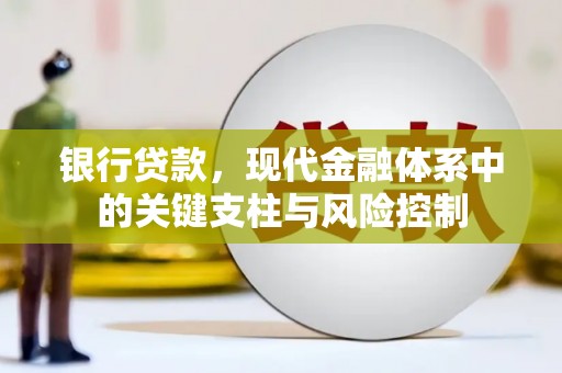 盐源银行贷款，现代金融体系中的关键支柱与风险控制