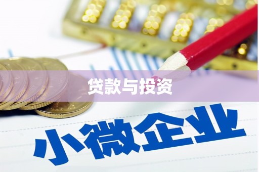 盐源贷款与投资