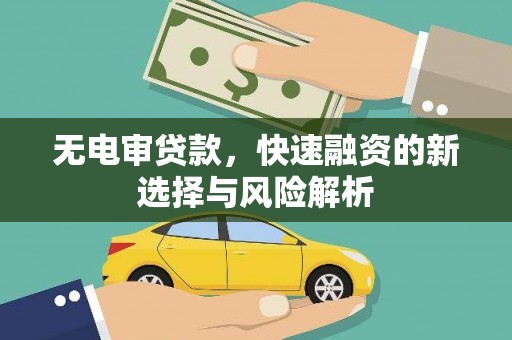 盐源无电审贷款，快速融资的新选择与风险解析