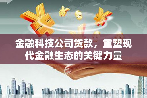 盐源金融科技公司贷款，重塑现代金融生态的关键力量