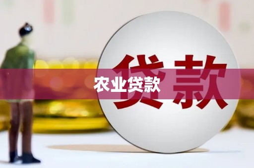 盐源农业贷款