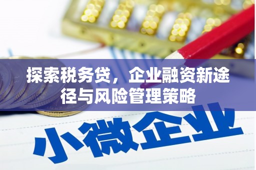 盐源探索税务贷，企业融资新途径与风险管理策略