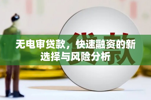 盐源无电审贷款，快速融资的新选择与风险分析