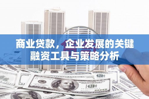 盐源商业贷款，企业发展的关键融资工具与策略分析