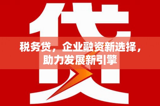 盐源税务贷，企业融资新选择，助力发展新引擎