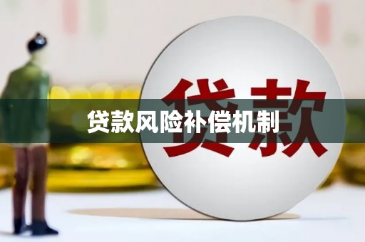 盐源贷款风险补偿机制