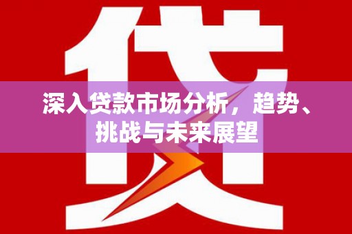 盐源深入贷款市场分析，趋势、挑战与未来展望