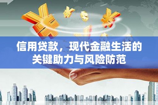 盐源信用贷款，现代金融生活的关键助力与风险防范