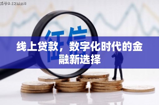盐源线上贷款，数字化时代的金融新选择