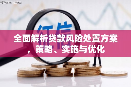 盐源全面解析贷款风险处置方案，策略、实施与优化
