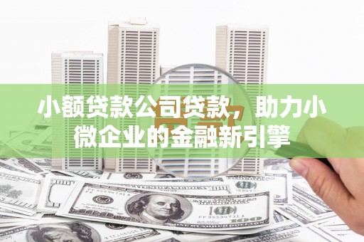 盐源小额贷款公司贷款，助力小微企业的金融新引擎