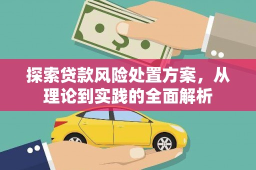 盐源探索贷款风险处置方案，从理论到实践的全面解析