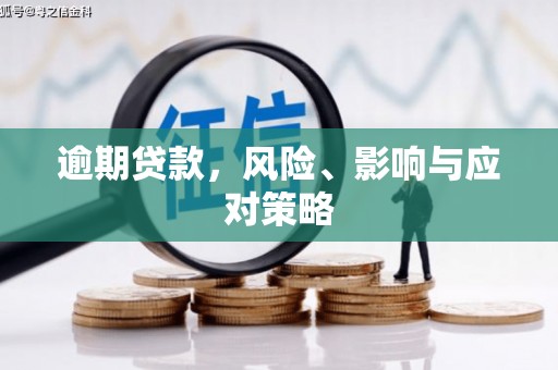 盐源逾期贷款，风险、影响与应对策略