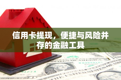 盐源信用卡提现，便捷与风险并存的金融工具