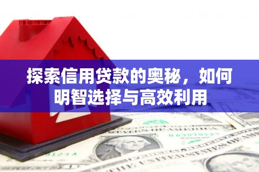 盐源探索信用贷款的奥秘，如何明智选择与高效利用