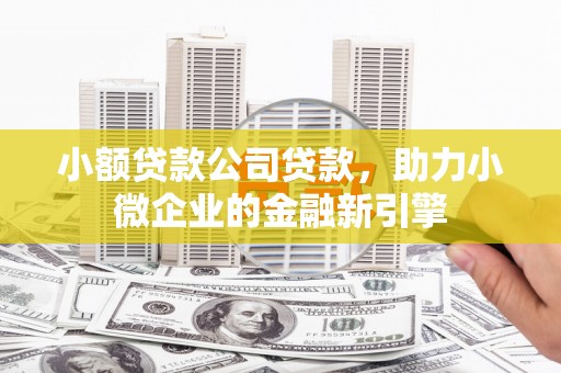 盐源小额贷款公司贷款，助力小微企业的金融新引擎