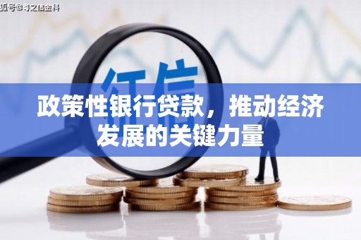 盐源政策性银行贷款，推动经济发展的关键力量