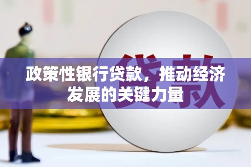 盐源政策性银行贷款，推动经济发展的关键力量