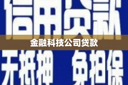 盐源金融科技公司贷款