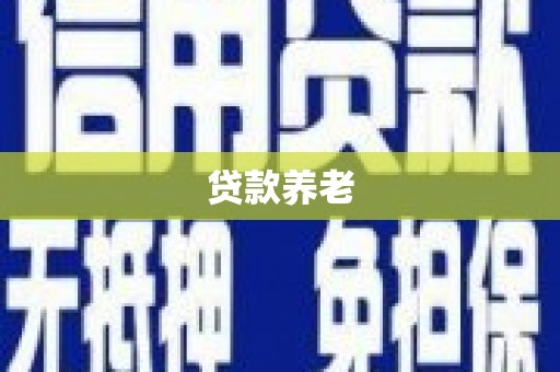 盐源贷款养老
