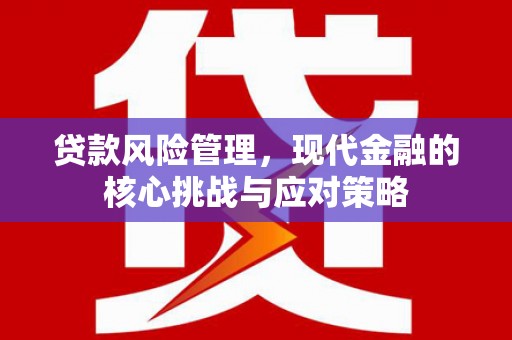 盐源贷款风险管理，现代金融的核心挑战与应对策略
