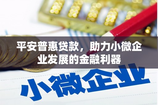 盐源平安普惠贷款，助力小微企业发展的金融利器