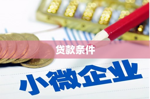 盐源贷款条件