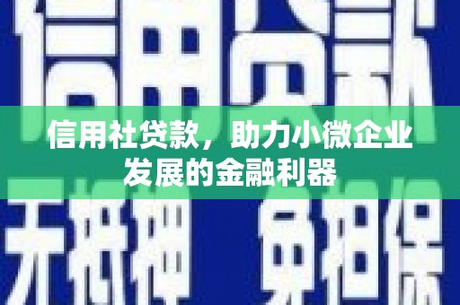 盐源信用社贷款，助力小微企业发展的金融利器