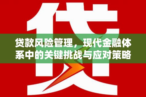 盐源贷款风险管理，现代金融体系中的关键挑战与应对策略