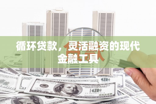 盐源循环贷款，灵活融资的现代金融工具