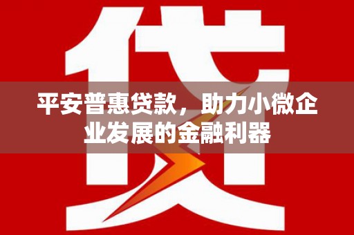 盐源平安普惠贷款，助力小微企业发展的金融利器