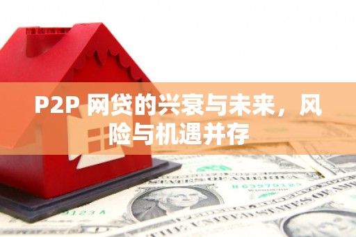 盐源P2P 网贷的兴衰与未来，风险与机遇并存