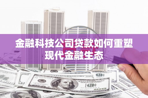 盐源金融科技公司贷款如何重塑现代金融生态
