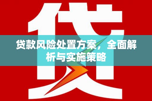 盐源贷款风险处置方案，全面解析与实施策略