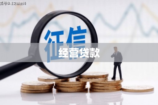 盐源经营贷款